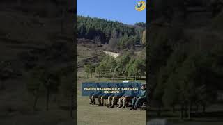 Բաքուն ավելացնում է ռազմական ծախսերը