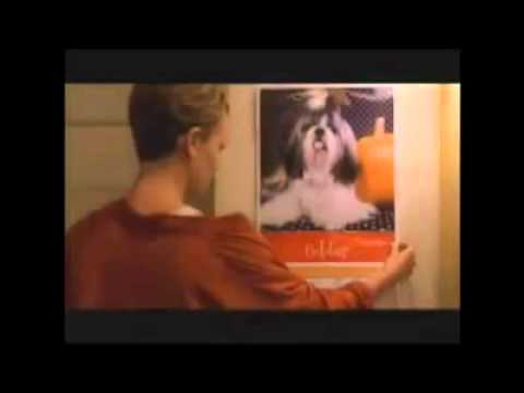 saniser - geri gelme