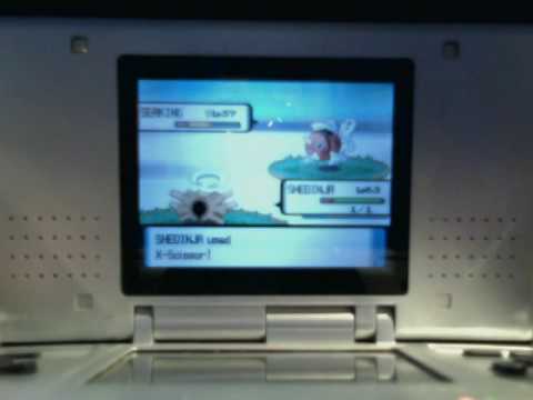 Shedinja Solo Run - Route 217!