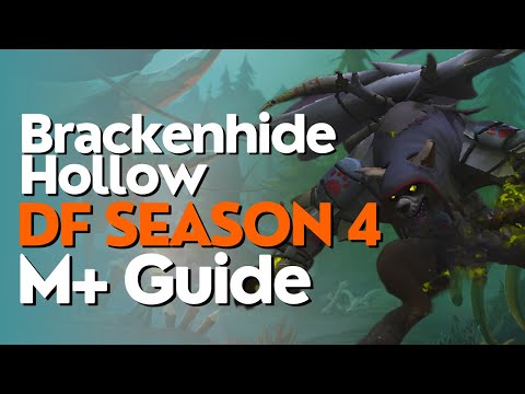 Brackenhide Hollow | M+ Boss Guides | Dragonflight Season 4