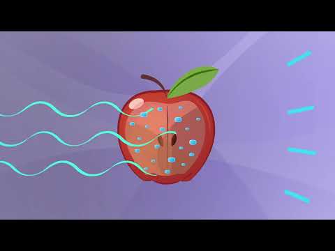 How X rays see through your skin