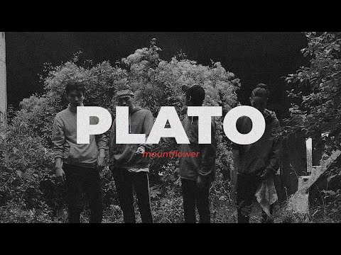 mountflower - plato.