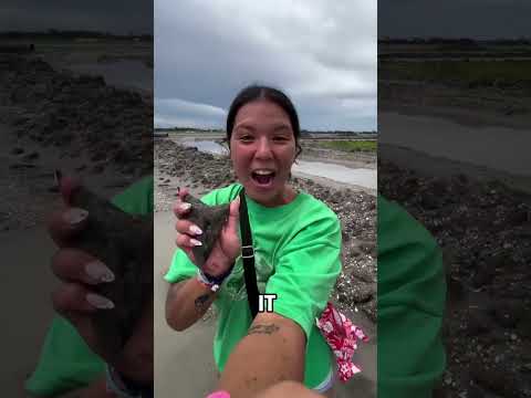 Girl Finds Megalodon Tooth