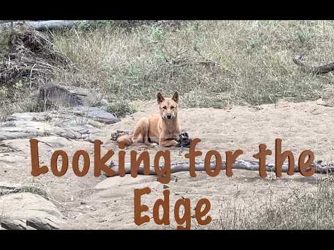 Looking for the Edge