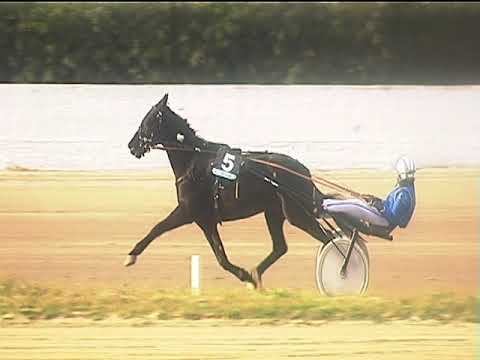 Trotto 26/03/2019 - 4ª corsa