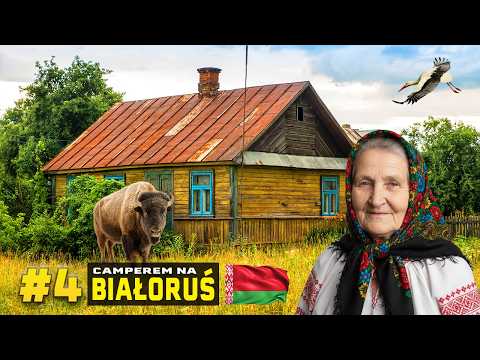 🇧🇾 BIAŁORUŚ - Odkrywamy tajemnice Puszczy Białowieskiej!