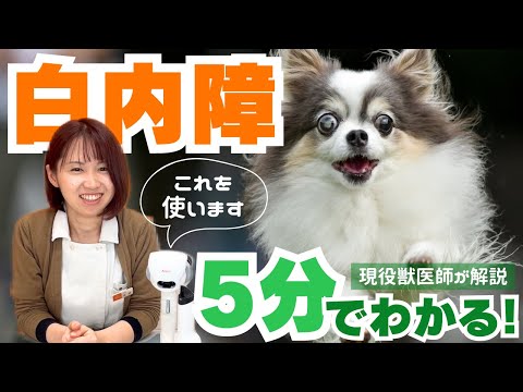 IUCN分類における絶滅の危険性を示す図。