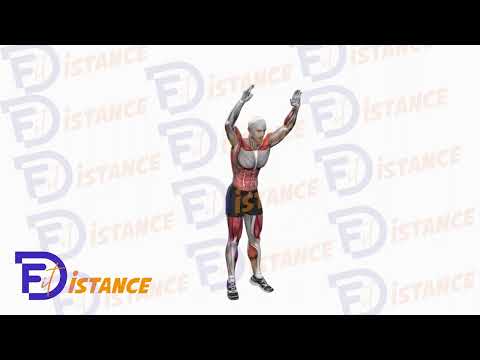 Exercice Burpees avec pompes