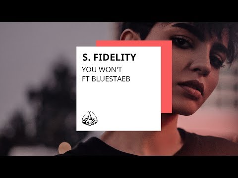 S. Fidelity - "You Won't" (ft. Bluestaeb)