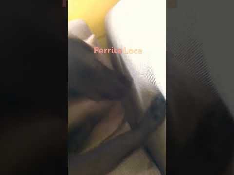 14 de octubre de 2024