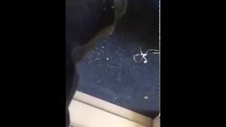 3 Man Deadlift Prank