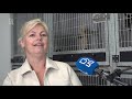 Boek over vijftig Dordtse onvergetelijke dierenverhalen