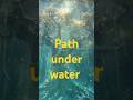 Path Under Water LumiStories LumiTheFox