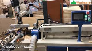 Woodmaster. MÁY KHOAN CẮT BỌ TỰ ĐỘNG