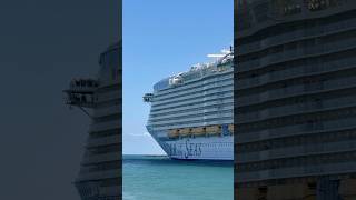 Wonder of the Seas 🛳️ #like #share #comment #subscribe #youtubeshorts #shortvideo #short #shorts