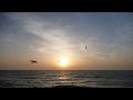 Rasarit La Constanta 8 Aprilie 2018 Timelaps 4k