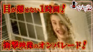 ⚠️検索してはいけない言葉⚠️閲覧注意！　悪魔の検索実況耐久バージョン🚫作業用#5🚫