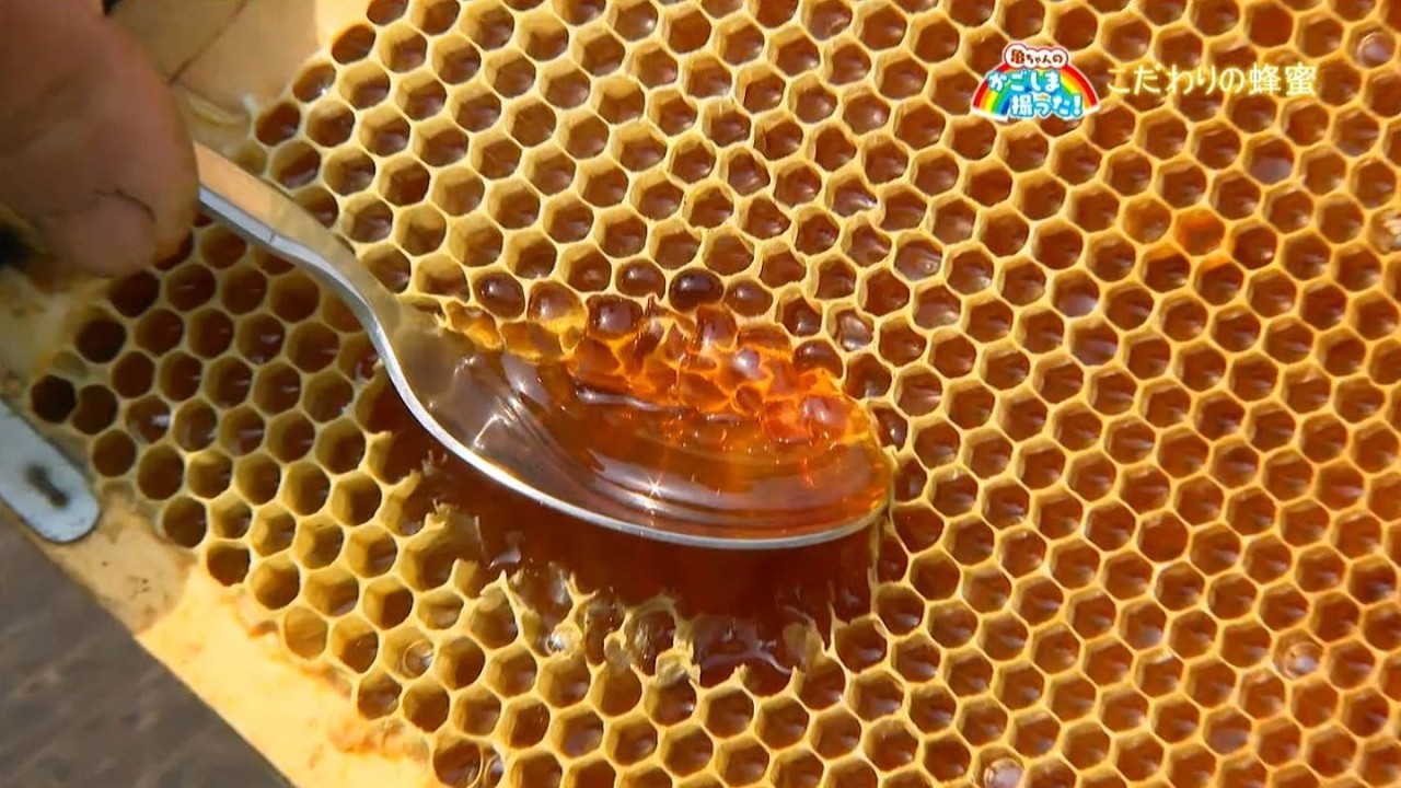 かごしま撮った！