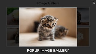Create A Responsive Popup Image Gallery Using HTML CSS And Vanilla Javascript