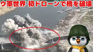 【世界のニュースを解説】ウクライナ情勢を解説【ペンギン閣下の解説】