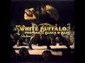 The White Buffalo - Into The Sun (AUDIO) 