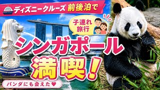 【シンガポール子連れ旅】ディズニークルーズ前後泊で大満喫!パンダ・ナイトサファリ・絶品グルメ
