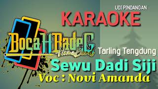 Download lagu SEWU DADI SIJI (NOVI AMANDA) KARAOKE udi pindangan mp3