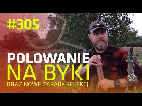 Darz Bór odc 305 - Polowanie na byki oraz nowe zasady selekcji