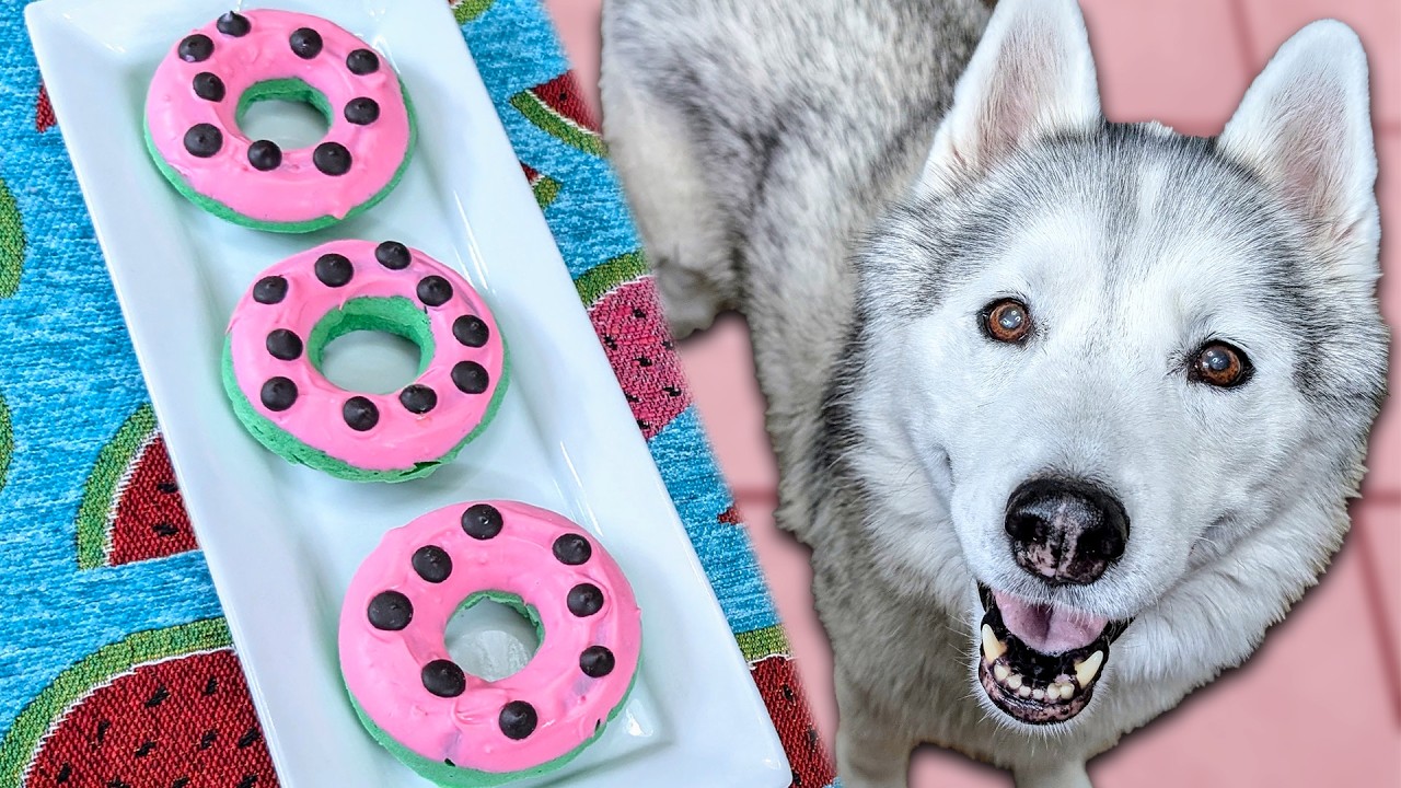 Watermelon Donuts for Dogs 🍉 Easy DIY Dog Treats