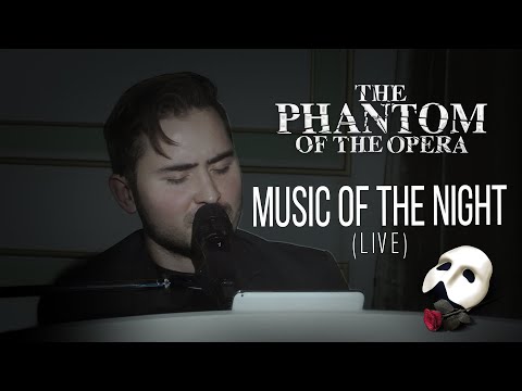 Sergey Smolin | Music of the Night | Призрак Оперы | Live