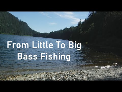 From Little To Big: Bass Fishing