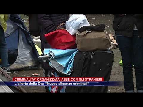 Etg - Criminalità organizzata, il rapporto della direzione antimafia