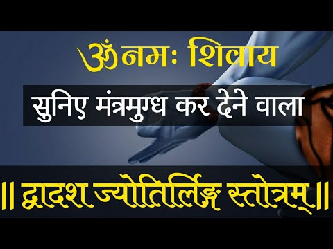 द्वादश ज्योतिर्लिंग स्तोत्रम् | मृत्युंजय हिरेमठ | सौराष्ट्र सोमनाथम् | Dwadash Jyotirlinga Stotram