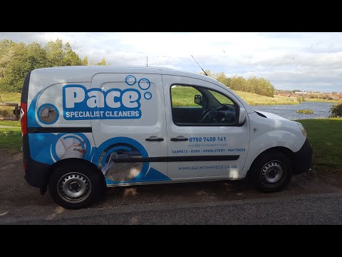 Pace Specialist Cleaners - Carpet Cleaning video.