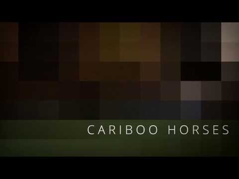 Cariboo Horses - Fall in Love