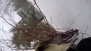 preview picture of video 'Dog's view of winter storm - GoPro'