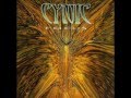 The Circle's Gone - Cynic