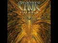 The Circle's Gone - Cynic 