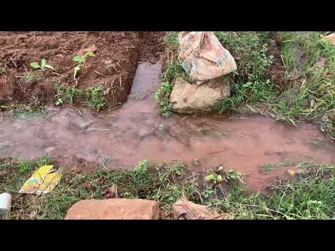 Nature ASMR Slow Motion #Nature #relaxing #asmr #trending