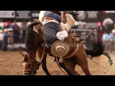 woolies & a buckskin bucker | Hardgrass Bronc Match 24 | ranch broncs