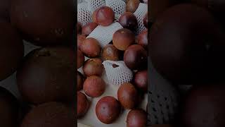 Download lagu Buah langka #shortsviral #buahbuahan #buahplum #shortsyoutube mp3 Download lagu Buah langka #shortsviral #buahbuahan #buahplum #shortsyoutube mp3