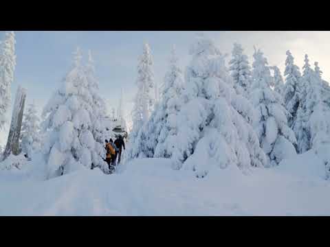 Urlaub Beim Wartner  in der vier Jahreszeiten Region Bayerischer Wald