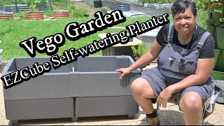 Is the Vego Garden EZ Cube Planter the BEST choice for your plants?