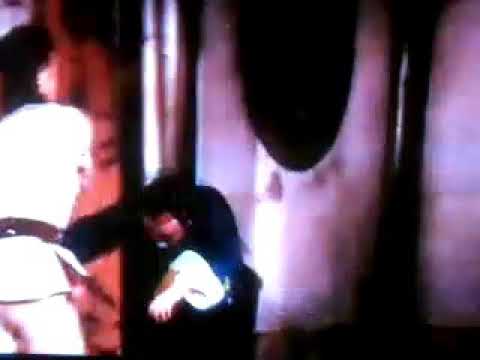 the return of The shaolin boxer