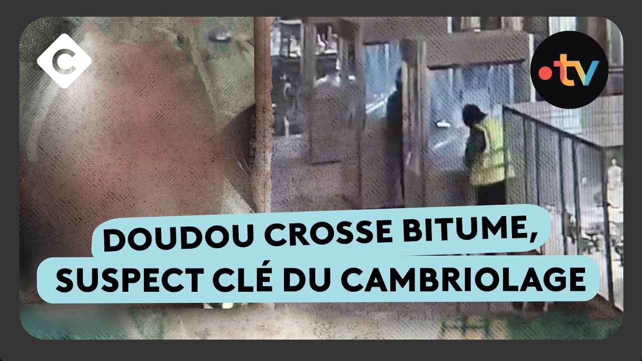 Casse du Louvre : les profils des cambrioleurs