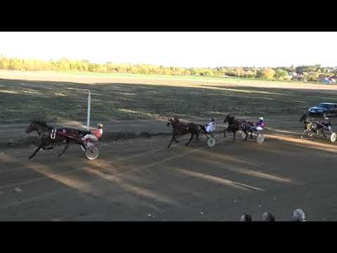 Trka "Trka grada Velika Plana" 24.10.2021 Team Work - Miodrag Pantić