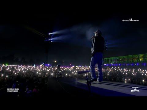 Cage The Elephant - Live Corona Capital 2024