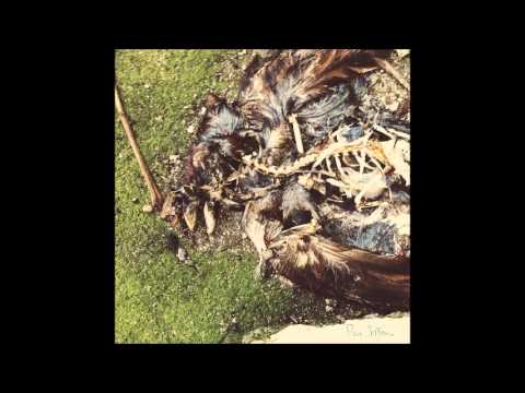 Dead or Dying - Park Jefferson