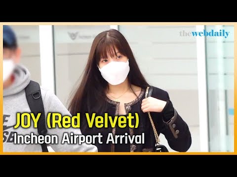 레드벨벳(Red Velvet) 조이, 마스크 쓴 입국길도 화보네 [WD영상]