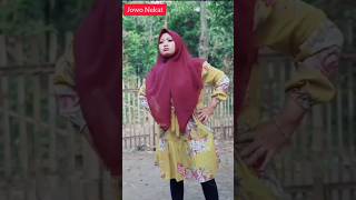 Download lagu Pak no demenan pitik pitikan #wokochannel mp3
